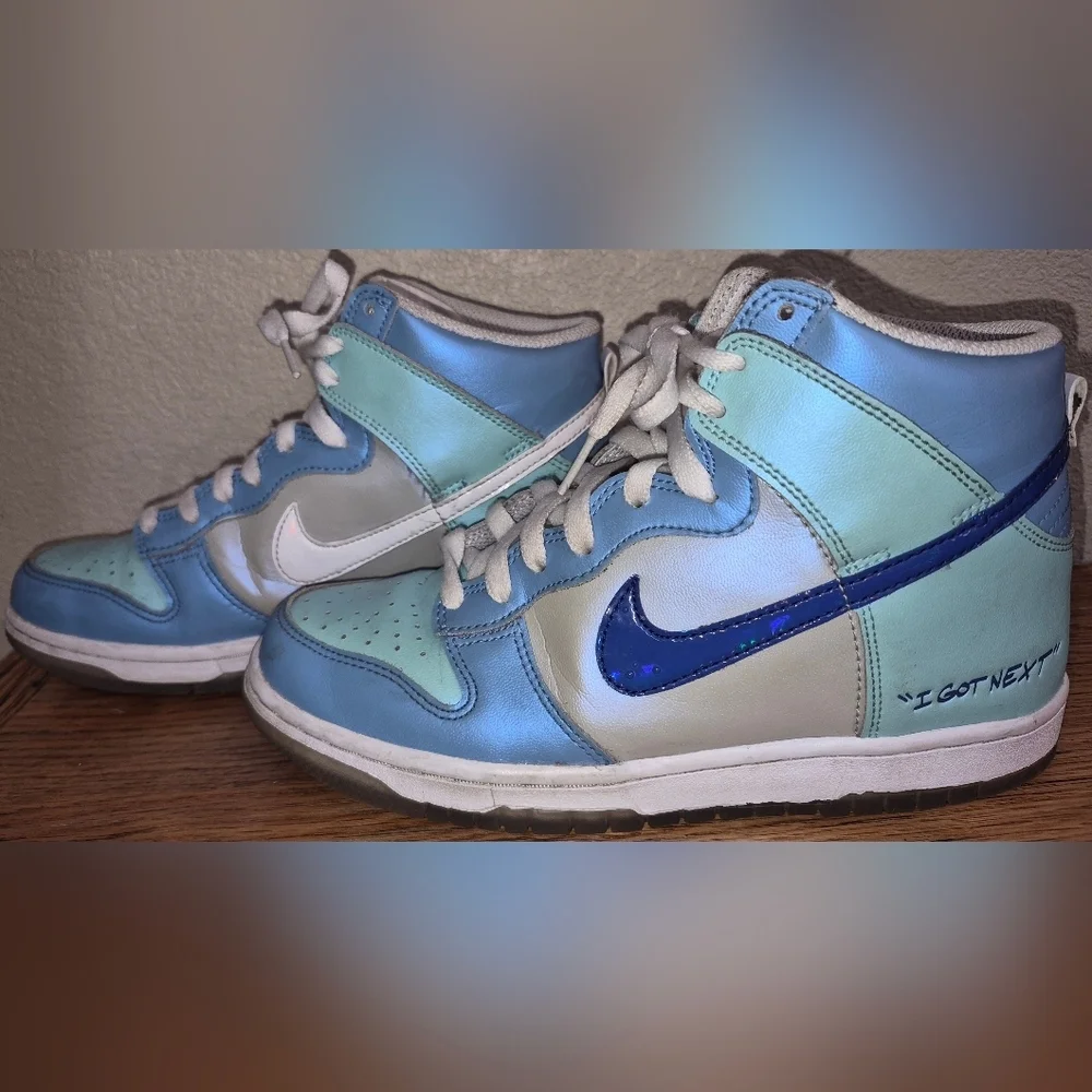 Nike Dunk High 